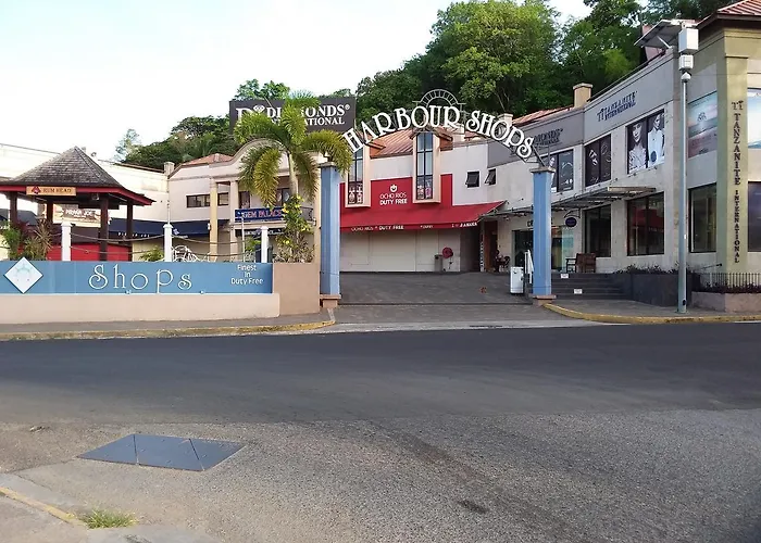 Mcfarlane's Place Apartment Ocho Rios